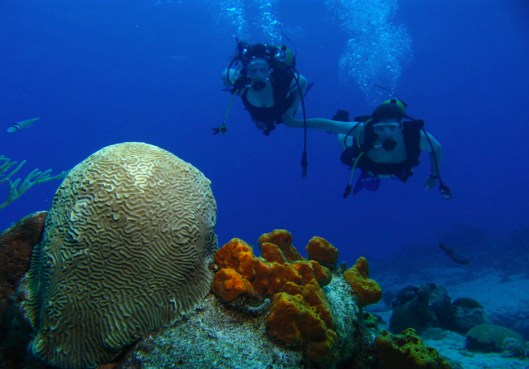 Scuba diving on our honeymoon in Cozumel