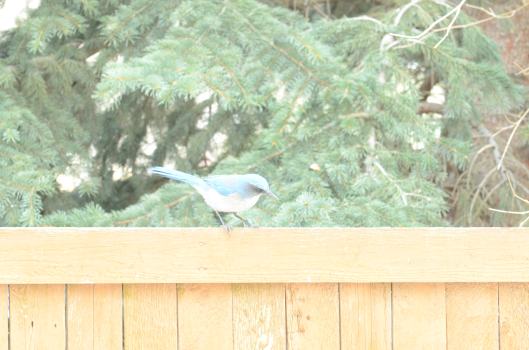 And this one sucks too. Ignore this.